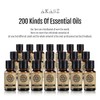 Herbolare Aceite de Sésamo Extra Virgen 50 ml para Masaje