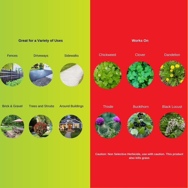 Hi-Yield (33693) Super Concentrate Killzall Weed & Grass Killer (1