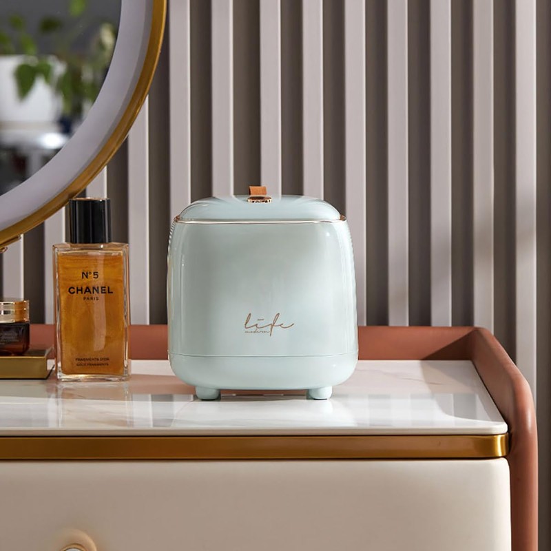 AIMALL Fashion Desktop Trash Can, Compact Self-Design Light Luxury Trash
