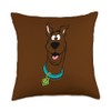Scooby-Doo Happy Face Throw Pillow, 18x18, Multicolor