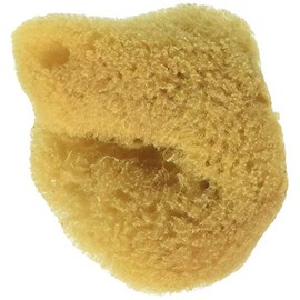 ROYAL BRUSH MFG. R2001P 1.5.to 2" Small Sea Silk Sponge Pkaged, Natural