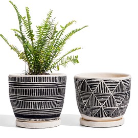 LE TAUCI Cement Planter, 5.5 Inch Succulent Pots, Boho Plant Pots with Drainage Holes & Saucers, Indoor Plants, Bonsai Pots, Unglazed, Set of 2