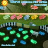 GSrenyu 100 Pcs Mini Turtles Luminous Mini Resin Turtle Mini