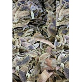 Unbranded Senos de mujer 8oz