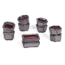 Bonsai Planter Succulent 1.8"(4.5cm) 10 Mini Glazed Pots