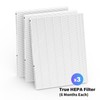 CFKREYA True hepa Filter Replacement Compatible with Fellowes AeraMax 290/300/DX95