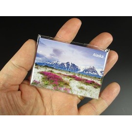 Alaska Alasca Photo Fridge Fridge Magnet Travel Souvenir New