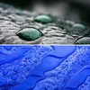 GARDENIX All-purpose tarpaulin, protective tarpaulin, blue, 60 g/m² (1.5 m