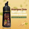 Shampoo Tinte Cubre Canas Natural Jengibre 500ml Piezas