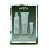 Aveda Scalp Solutions Set