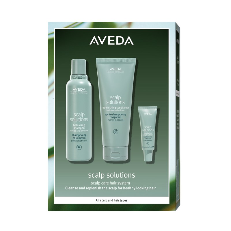 Aveda Scalp Solutions Set