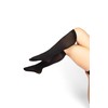Winterlace Women’s Trouser Socks, Opaque Stretchy Nylon Knee High, Many