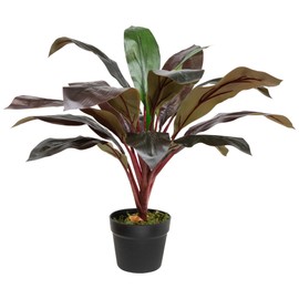 Real Touch™ Red and Green Artificial Dracaena Potted Plant - 23"