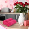 DERTE 2 Pcs Heart Valentine's Day Hand Towels Set Red