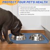 SMILOOL Silicone Pet Feeding Mat with Raised Edge for Food