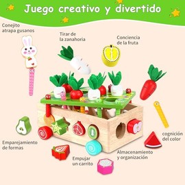 Juguetes Montessori para Niños,Juguetes Educativos,Juguetes de Clasificación de Formas,Juego de Habilidades Motoras Finas de Aprendizaje Preescolar