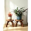 Short Plant Stand Indoor Outdoor 2 Pack, Solid Wood Plant