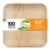 Raj Disposable Palm Leaf Plates [100-Pack] Large Square Plates Strong