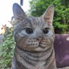Vivid Arts Sitting Cats (Tabby Cat)