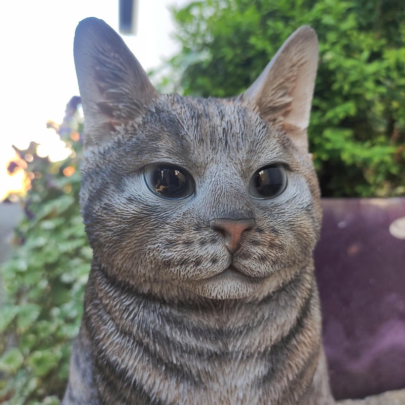 Vivid Arts Sitting Cats (Tabby Cat)