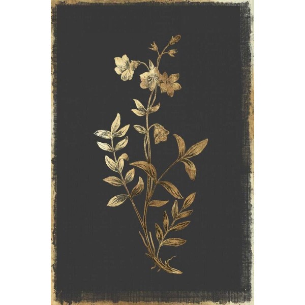 Posterazzi Greek Valerian Poster Print by PI Collection (36 x