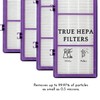 Nispira HAPF300AP AER1 Performance Plus Filter for Holmes HAPF30AT Air