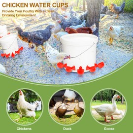 Pankousa 18PCS Poultry Watering Cups,Automatic Chicken Water Cups,Chickens Waters Nipples,DIY Chicken Watering System with Tee Fittings and Drill for Chicken,Duck,Goose,Bird and Other Kinds of Poultry
