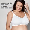 Medela Keep Cool Ultra Bra | Seamless Maternity and Nursing