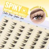 Bottom Lash Clusters Natural Eyelash Extensions Short Individual Lashes Wispy