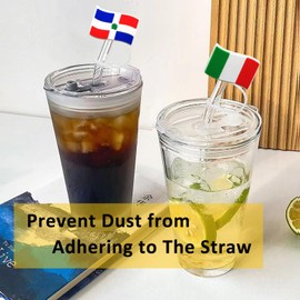 6Pcs Silicone Flag Straw Cover, Tip Covers, Toppers for Tumblers, Portable Dust-Proof Plugs for 7 to 8 mm Straws, Cup Accessories