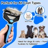 AXEFUN 3-in-1 Pet Deshedding Tool – Grooming Brush for Dogs