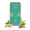 TeaNOURISH Ginger Mint Green Tea | 20 Count Pyramid Tea