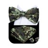 Hi-Tie Pre-Tied Bowties for Men Silk Bow Ties and Pocket