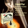 Magnolia - Case of 12 Boxes, 10 Cones Each -
