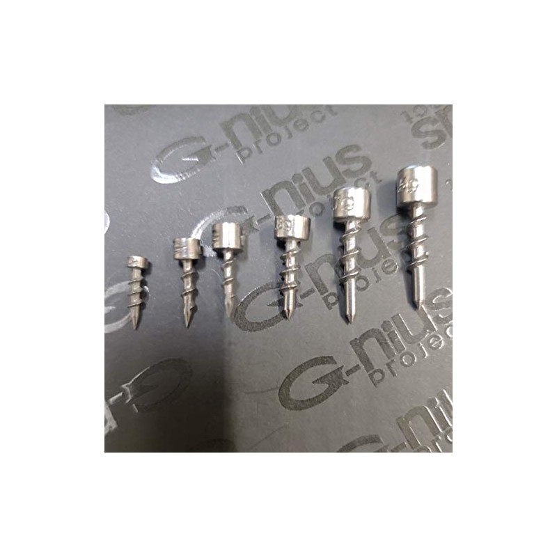 G-nius Project Screw Nail Sinker 0.4g (1/64oz)