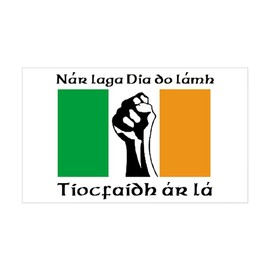 CafePress United Ireland Rectangle Bumper Sticker Car Decal
