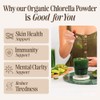 Sevenhills Wholefoods Organic Chlorella Powder 400g, Broken Cell Wall, High