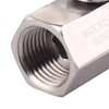 DERNORD 1/2" Stainless Mini Ball Valve Female x Male NPT