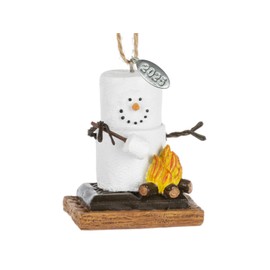 Camping Ornament, Smores Ornament Roasting Marshmallows 2025, Camping Gift Idea, Camping Stocking Stuffer, Camping Durable Resin Ornament, Comes in a Gift Box