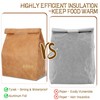 EYUNSTAR 2 Pcs Insulated Brown Paper Lunch Bags, Reusable Lunch