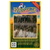 Everwilde Farms - 1000 Brown Fox Sedge Native Grass Seeds