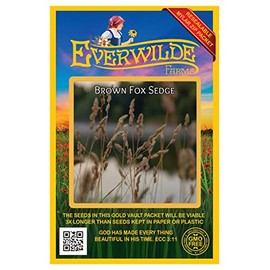 Everwilde Farms - 1000 Brown Fox Sedge Native Grass Seeds - Gold Vault Seed Packet