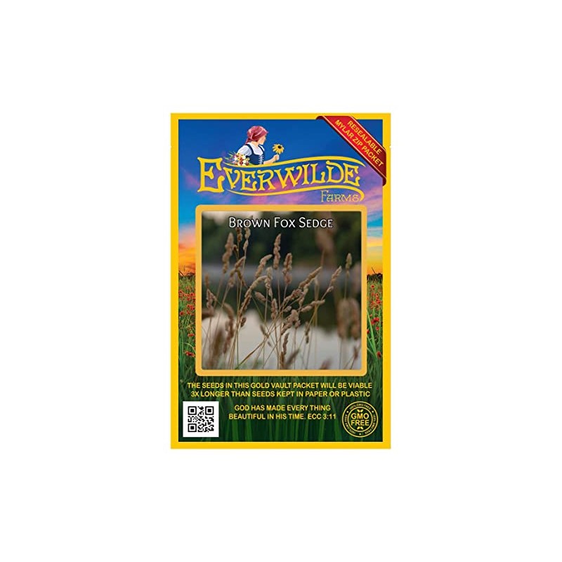 Everwilde Farms - 1000 Brown Fox Sedge Native Grass Seeds