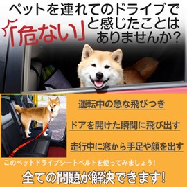 Charming Decor Dog Seat Belt, Pet Seat Belt, Car Dedicated Lead, Driving Seat Belt, Passenger Seat, Prevents Popping Out, Stretchable, Adjustable Length (Red)