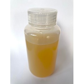 Andex 220ml Nutrient Agar Bottle - Premixed & Read to Go