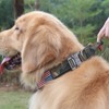 Tactical Dog Collar Military Dog Collar Adjustable Nylon Dog Collar