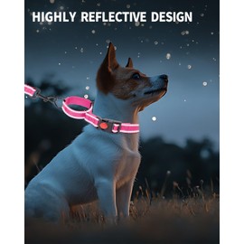 HSIGIO Martingale Dog Collar, No Slipping Out Reflective Puppy Collar with Quick Release Buckle, Heavy Duty Adjustable Dog Collar with Safety Lock for Small Medium Large Breed Dogs, Pink, S