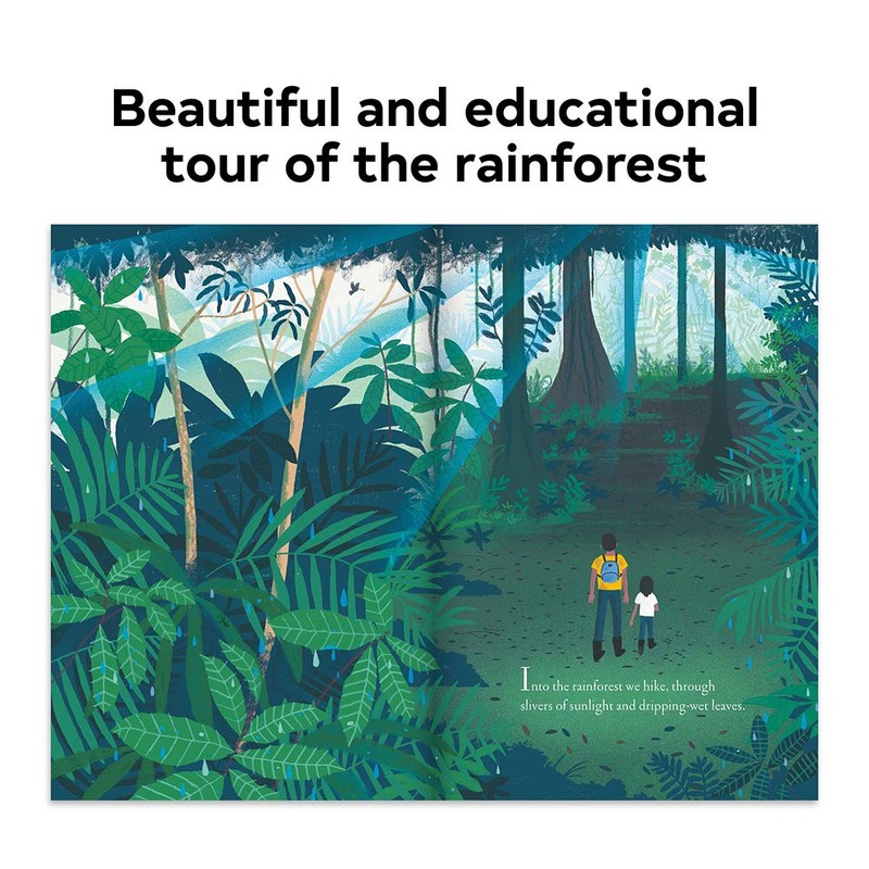 Over and Under the Rainforest