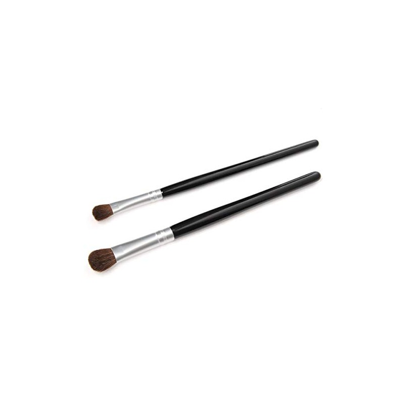 Rosy Rosa Eyeshadow Brush Set