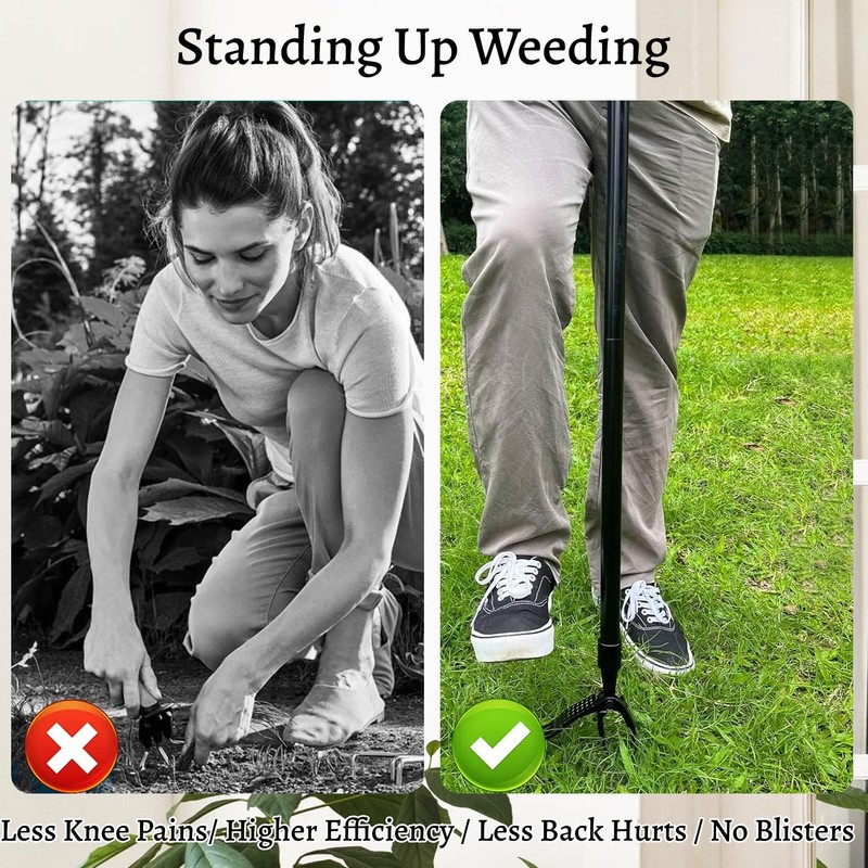 Weed Puller Tool,Stand Up Weed Puller,Detachable Weed Puller,Weed Puller Tool